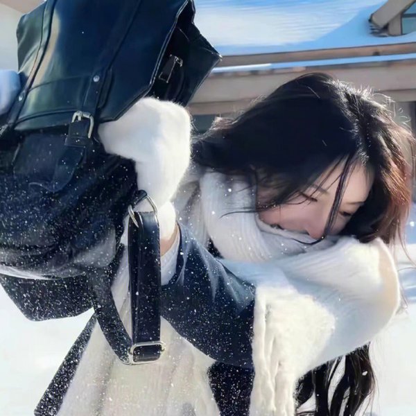 笑盗江湖